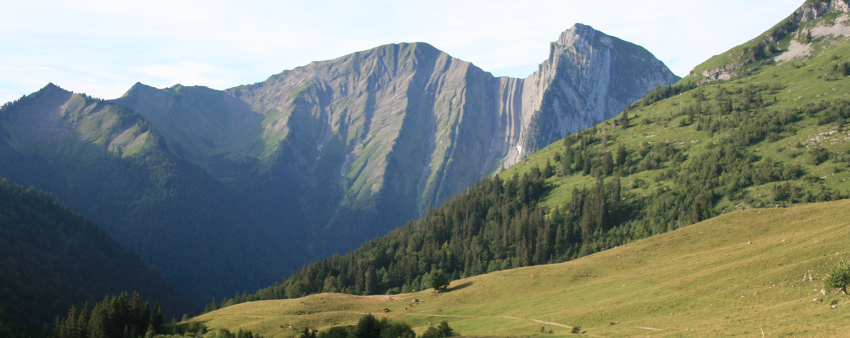 Pecloz subvertical stratigraphy